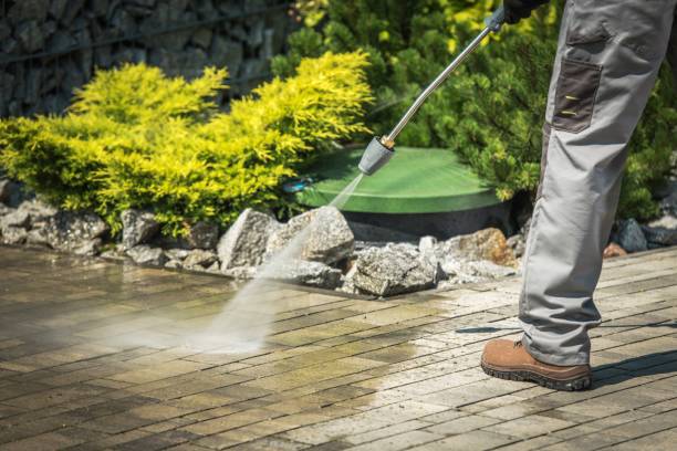 Best Pool Deck Cleaning in Chase City, VA